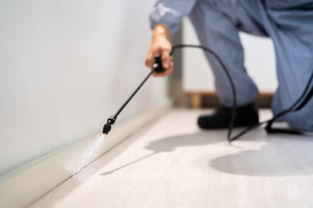 Licensed Pest Control service in Shaw, MS - Show Me Pest Control