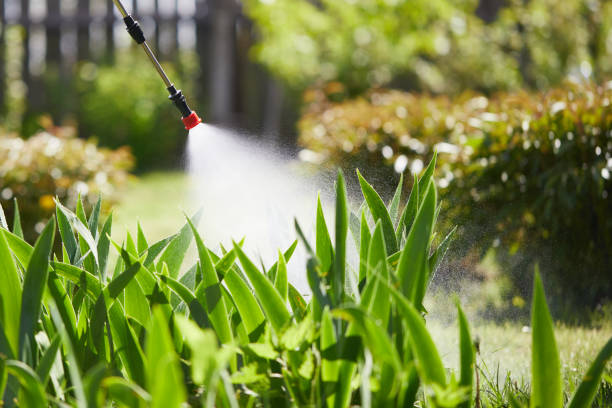 24/7 Emergency Mosquito Control experts in Shaw, MS